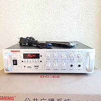 Усилитель мощности звука PA Temeisheng DY-33 на 300ват 70-110V