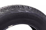 Шина IceMax RW501 245/65 R17 XL 111H (зимова) KAPSEN 245/65R17 XL RW501, фото 3