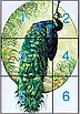 Набір для вишивання за нанесеною на канву схемою "Peacock 4".AIDA 14CT printed , 34*48 см, фото 4
