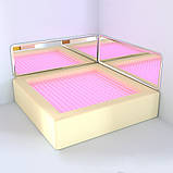 Акрилова дзеркальна панель до сухого басейну 2 шт. TIA-SPORT, фото 2