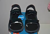 Чоловічі сандалі Columbia Trailstorm hiker two strap sandal (1987201010), фото 9