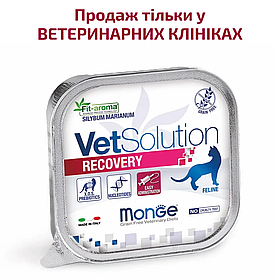 Monge VetSolution Wet Recovery feline