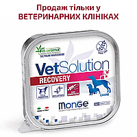 Monge VetSolution Wet Recovery canine