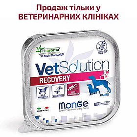 Monge VetSolution Wet Recovery canine