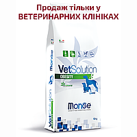 Monge VetSolution Obesity canine