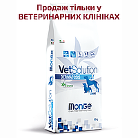 Monge VetSolution Dermatosis canine