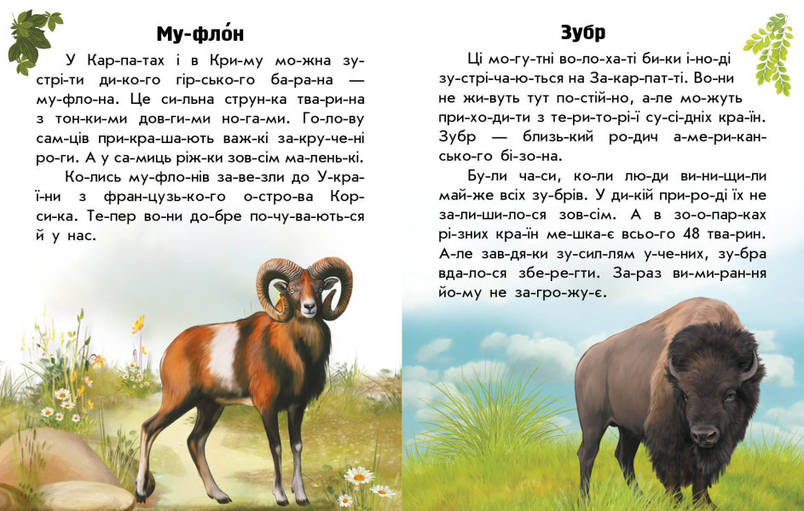Книга для дітей "Читаю про Україну. Тварини гір" | Ранок, фото 3