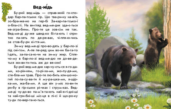Книга для дітей "Читаю про Україну. Тварини гір" | Ранок, фото 4