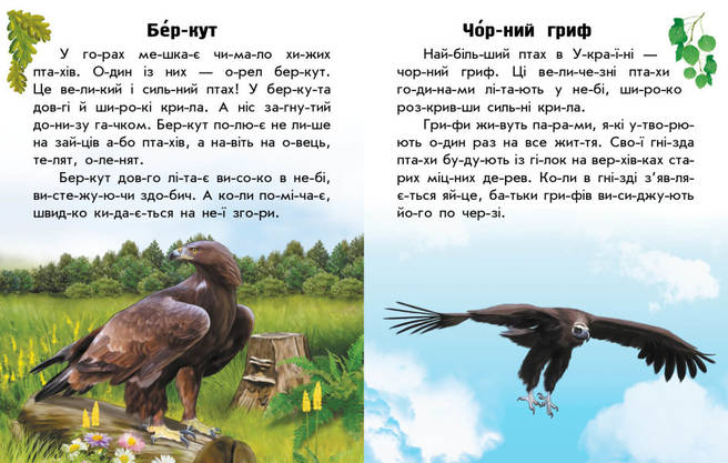 Книга для дітей "Читаю про Україну. Тварини гір" | Ранок, фото 5