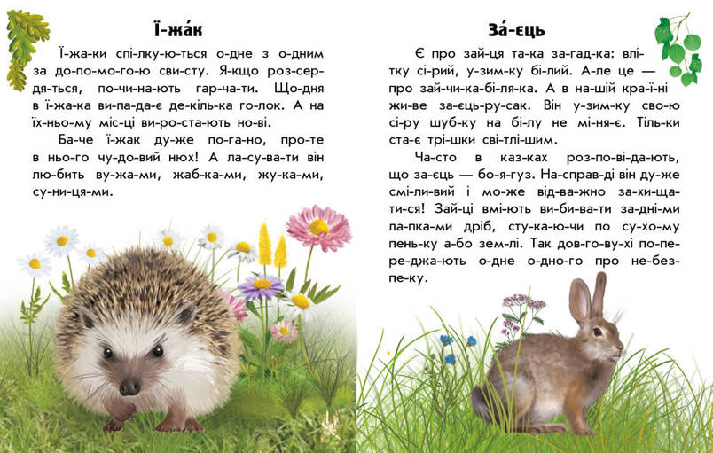 Книга для дітей "Читаю про Україну. Тварини лісів" | Ранок, фото 3