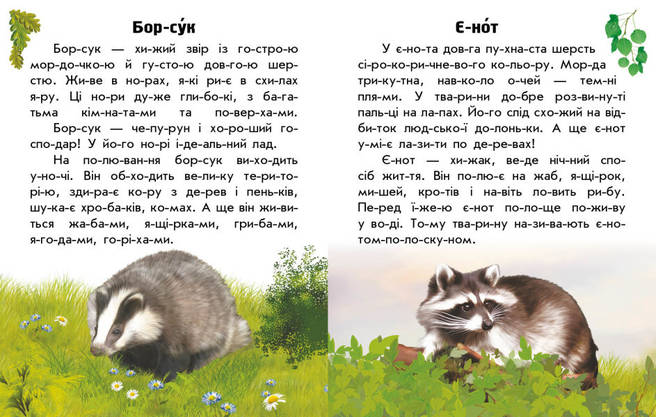 Книга для дітей "Читаю про Україну. Тварини лісів" | Ранок, фото 4