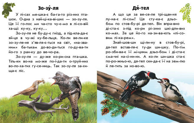 Книга для дітей "Читаю про Україну. Тварини лісів" | Ранок, фото 5