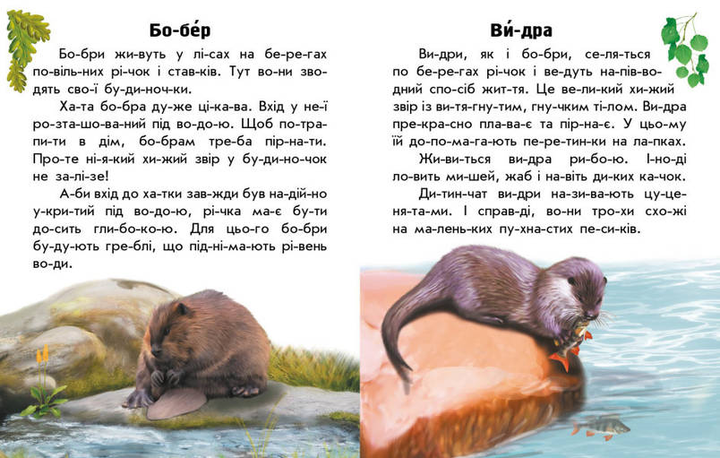 Книга для дітей "Читаю про Україну. Тварини річок та морів" | Ранок, фото 3