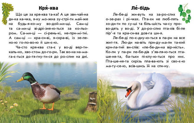 Книга для дітей "Читаю про Україну. Тварини річок та морів" | Ранок, фото 5