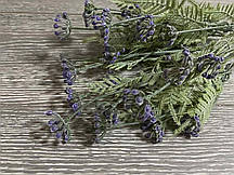 Букет піжма колір  лаванда, ціна вказана за 1 букет висота 35 см, 7 гілочок