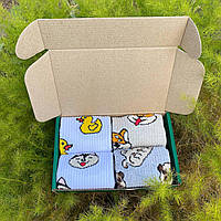 Набор носков женских длинных весна-осень с милыми прикольными рисунками 36-41 4 пары в подарочной коробке MS