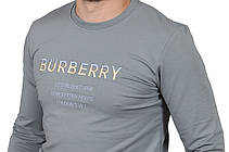 Світшот чоловічий Burberry 23-K-8629 сірий S, фото 6