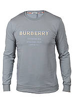 Світшот чоловічий Burberry 23-K-8629 сірий S