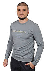 Світшот чоловічий Burberry 23-K-8629 сірий S, фото 4