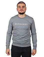 Світшот чоловічий Burberry 23-K-8629 сірий S, фото 3