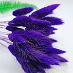 Лагурус натуральний темно-фіолетовий, фото 4