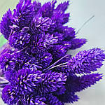 Фаляріс натуральний темно- фіолетовий, фото 2