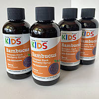 California Gold Nutrition Sambucus kids Бузина для дітей з ехінацеєю, 120 мл