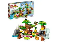 LEGO Duplo 10973 Дикі тварини Південної Америки