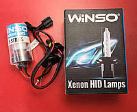 Ксеноновая лампа Winso H11 6000K, 2шт