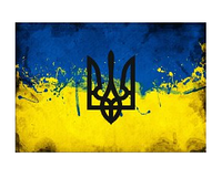 Шеврон флаг и тризуб Украины Шевроны на заказ Шевроны нашивки Шеврон нашивка на липучке ВСУ (AN-12-2-41)