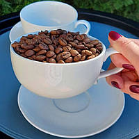 Набір чашок із блюдцями для лате "Нордика", 12 шт. 375