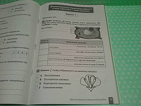 006 кл НУШ2 Уч Світоч РЗ Природничі науки 006 кл Зошит практикум Засєкіна, фото 4