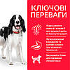 Hill’s Science Plan Adult Medium Breed Сухий корм для дорослих собак середніх порід, з куркою, 2,5 кг, фото 3