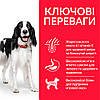 Hill’s Science Plan Adult Medium Breed Сухий корм для дорослих собак середніх порід, з ягням і рисом, 14 кг, фото 3