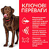 Hill’s Science Plan Adult Healthy Mobility Large Breed Сухий корм для підтримання здорової рухливості дорослих собак великих 14кг, фото 3