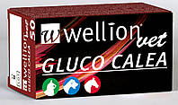 Тест-полоски Wellion Vet GLUCO CALEA, 50 шт.