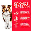 Hill’s Science Plan Mature Adult 7+ Medium Breed Сухий корм для зрілих собак середніх порід від 7 років, з ягням і рисом, 14 кг, фото 2