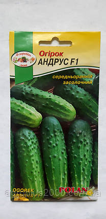 Насіння Огірок бджолозапильний Андрус F1, 5 грам Torseed, фото 1