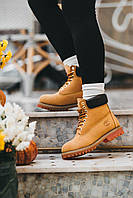 Зимние женские ботинки Timberland