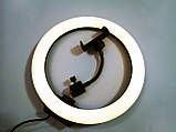 Кільцева LED-лампа RGB MJ26 26 см 1 кріп.тел USB ORG, фото 11