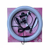 Кільцева LED-лампа S31 31 см 1 кріп.тел USB ORG, фото 5