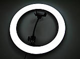 Кільцева LED-лампа S31 31 см 1 кріп.тел USB ORG, фото 10