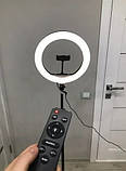 Кільцева LED-лампа AL-390 39 см 220 V 1 кріп.тел. + пульт ORG, фото 4