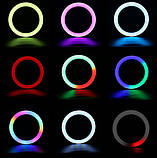 Кільцева LED-лампа RGB MJ38 38 см 220 V 1 кріп.тел ORG, фото 5