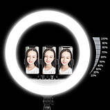 Кільцева LED-лампа RL-21 54 см 220 V 3 кріп.тел. + пульт + чохол ORG, фото 5
