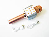 Мікрофон Wster WS-1688 USB, microSD, AUX, Bluetooth, REC ORG, фото 6