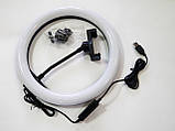 Світлодіодна кільцева лампа Ring Fill Light ZD666 26 см ORG, фото 7