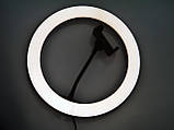 Світлодіодна кільцева лампа Ring Fill Light ZD666 26 см ORG, фото 11