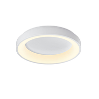 LED Світильник настінно-стельовий 72W 2700-6000К 220V кільцевий VLE-ERC-72W Videx, фото 3
