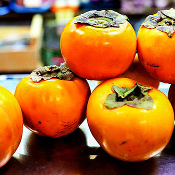 Саджанці хурми Шарон (трирічна) - самоплідна, рання, морозостійка